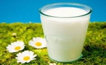 Một cốc sữa bò